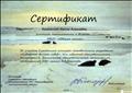 Сертификат за участие в районном конкурсе методических разработок "Художник вечных льдов", для педагогов образовательных организаций, дошкольных организаций, посвящённый 150-летию А. А. Борисова Сертификат за участие в районном конкурсе методических разработок "Художник вечных льдов", для педагогов образовательных организаций, дошкольных организаций, посвящённый 150-летию А. А. Борисова